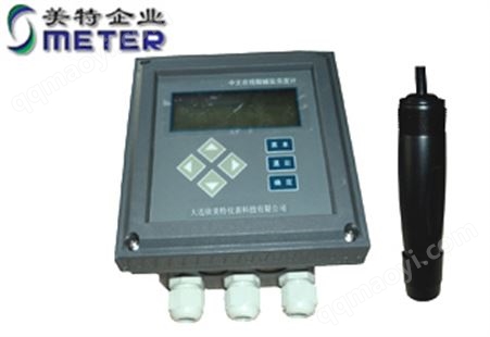 在线溶解氧仪