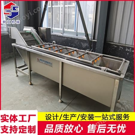 树工厂家定制 食品级不锈钢大型果蔬清洗机 洗菜机