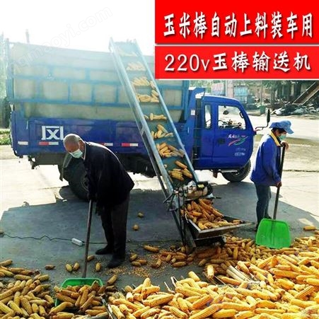 玉米上棒机_方全_220v小型_装车输送_pvc带_玉米棒上料机