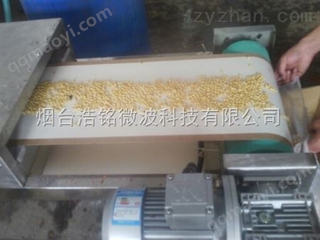 HMWB-60SD供應(yīng)微波烘烤熟化公司
